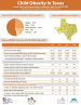 Thumbnail image for 2019-2020 Texas SPAN Survey Overview